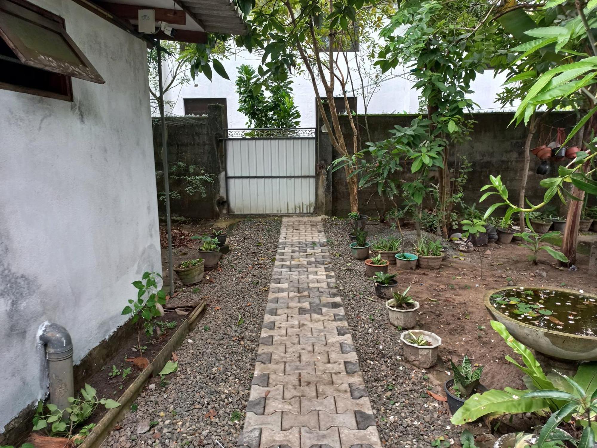 Mango Villa 703 Hikkaduwa Dış mekan fotoğraf
